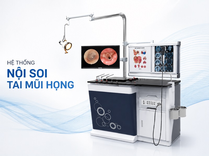 Dịch vụ kiểm tra, sửa chữa và thay thế lõi dây dẫn sáng nội soi uy tín